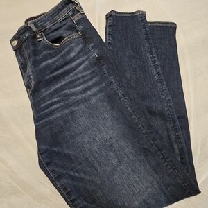 AE Hi Rise Jegging Next Level Stretch Size 14/Long